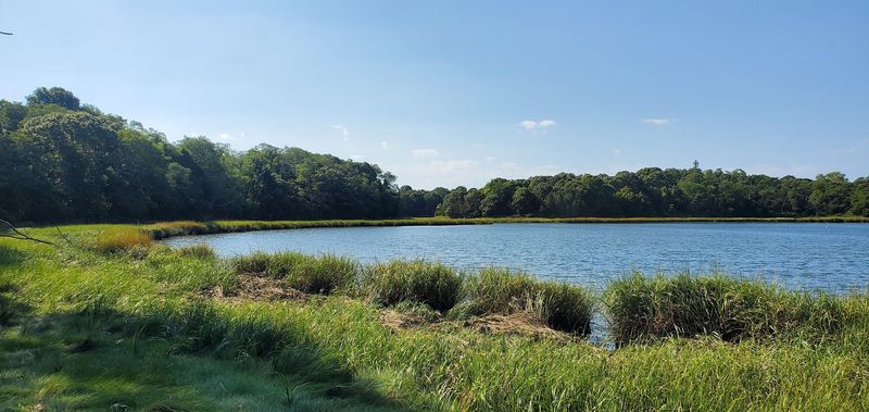 Nauset Marsh Trail 