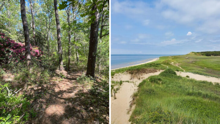 10 Massachusetts Hiking Trails Perfect For Beginners And Weekend Explorers