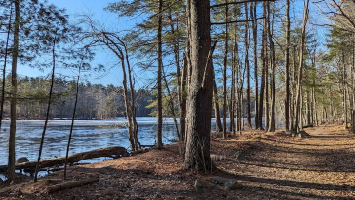 10 Massachusetts Horseback Riding Destinations Perfect For Outdoor Exploration