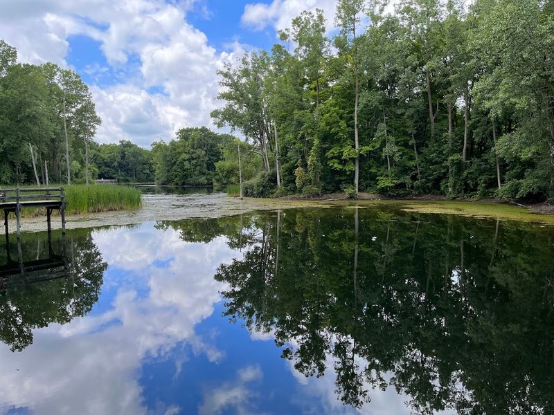 Maybury State Park Trails 