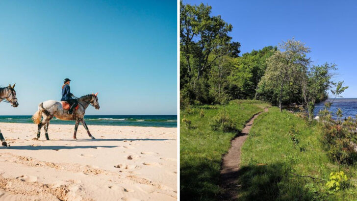 10 Michigan Horseback Riding Trails That Showcase The State’s Wild Beauty