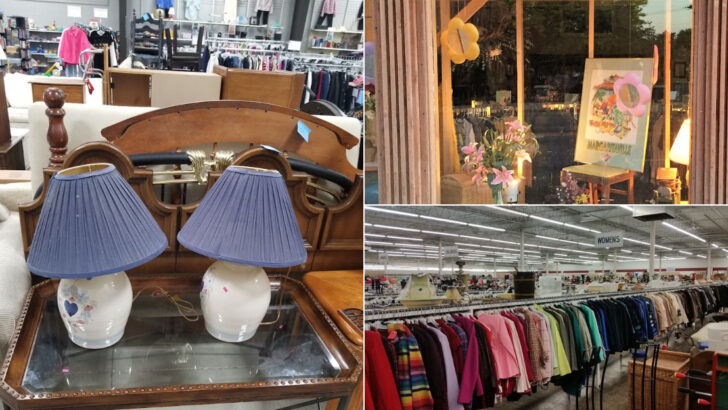 10 Michigan Thrift Stores Bargain Hunters Can&rsquo;t Stop Talking About