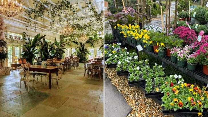 10 North Carolina Garden Markets Filled With Flowers, Trees, And Hidden Treasures