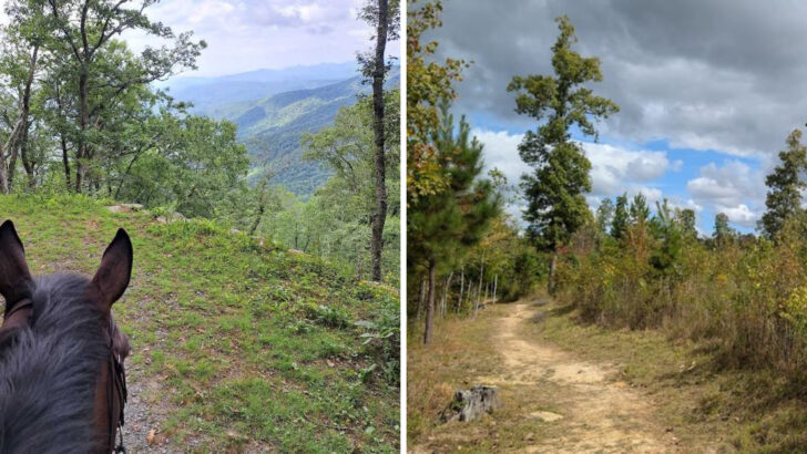 10 North Carolina Horseback Riding Trails With Views Worth The Ride