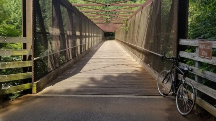 10 Of Georgia’s Longest Bike Trails Made For All-Day Adventures