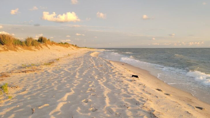 10 Of Virginia&rsquo;s Most Beautiful Hidden Beaches Worth Escaping To