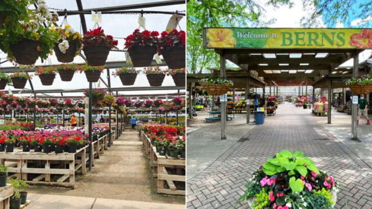 10 Ohio Garden Markets That Plant Lovers Never Seem To Get Tired Of Visiting