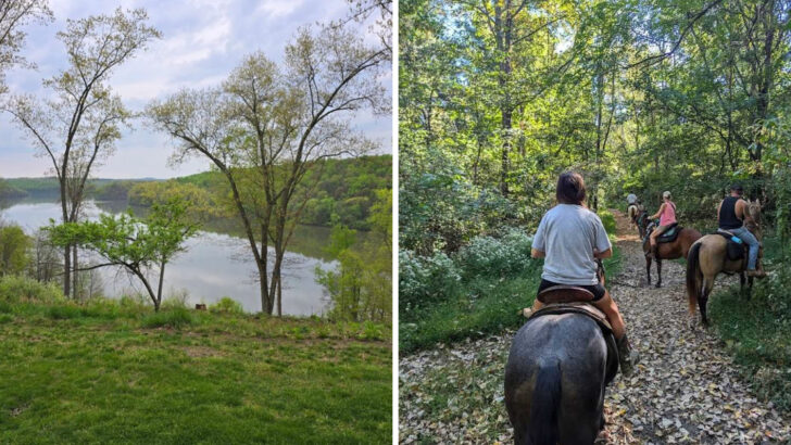 10 Ohio Horseback Riding Adventures Worth Planning A Weekend Around
