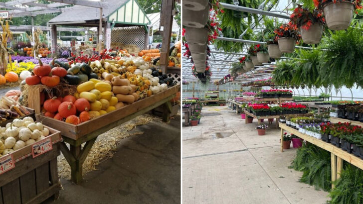 10 Pennsylvania Garden Markets Bursting With Flowers, Plants, And Small-Town Charm