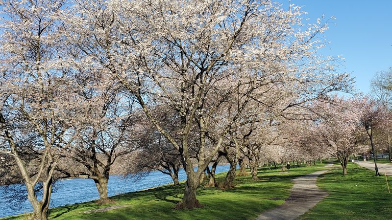 Schuylkill River Trail — Philadelphia
