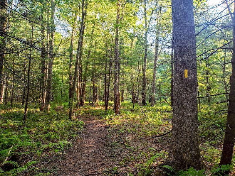 Appalachian Trail - Pine Grove Furnace Section