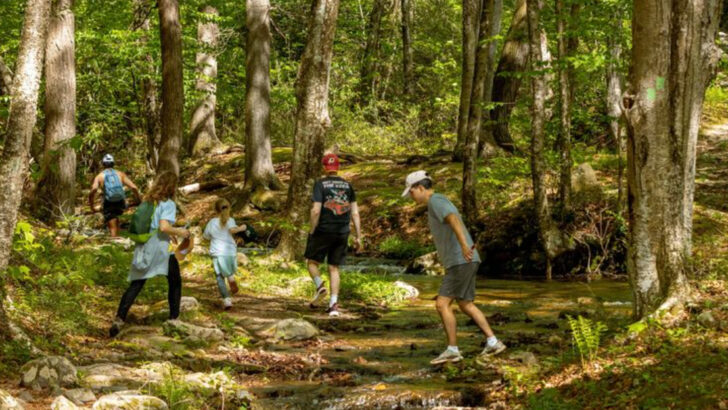 10 Pennsylvania Trails You Have To Experience At Least Once In Your Lifetime