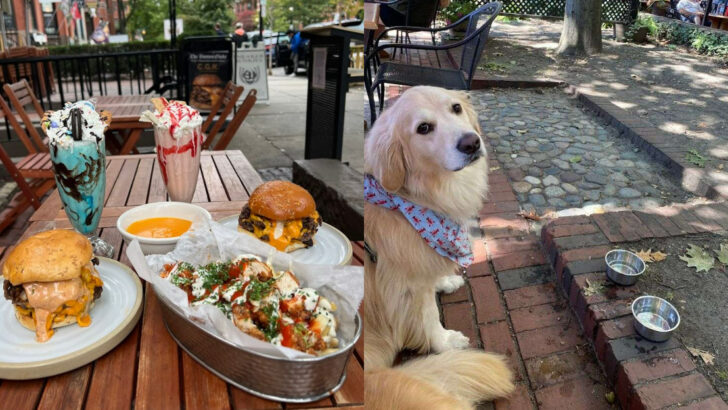 10 Pet-Friendly Restaurants In Massachusetts Where Outdoor Dining Meets Pet Comfort