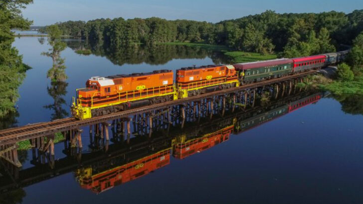 10 Scenic Train Rides In Georgia That Are Perfect For A Relaxing July Getaway