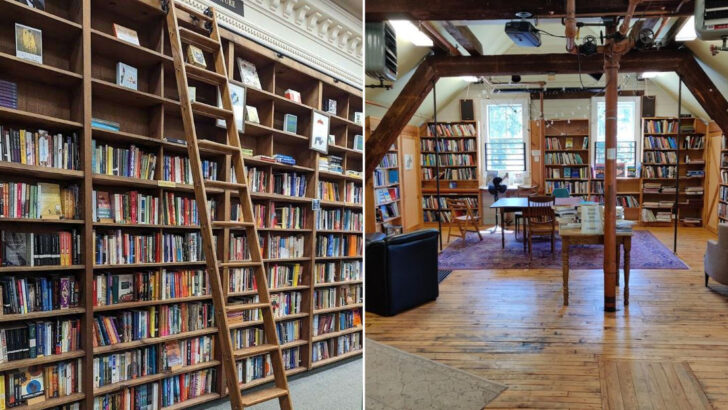 10 Secret Massachusetts Bookshops That Feel Like Cozy Reading Sanctuaries