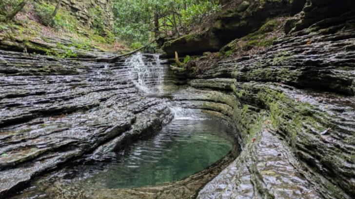 10 Swimming Holes In Virginia That Feel Like Natural Summer Resorts