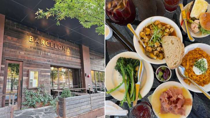 10 Tapas Bars In Virginia That Blend Spanish Small Plates With Elegant Dining Culture