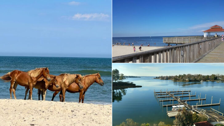 10 Virginia Beaches With Long Scenic Shorelines And Ocean Breezes