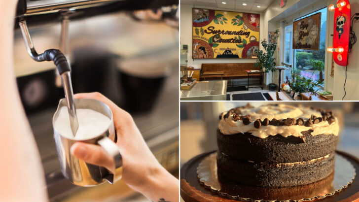 10 Virginia Cafes That Treat Dogs Like VIP Guests