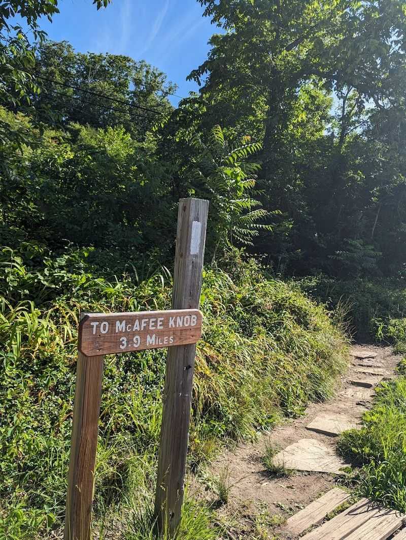 McAfee Knob
