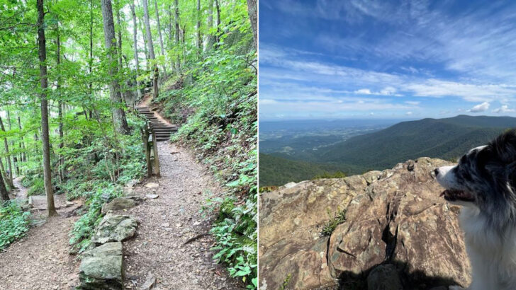 10 Virginia Hiking Trails That Showcase Some Of The State’s Most Beautiful Scenery