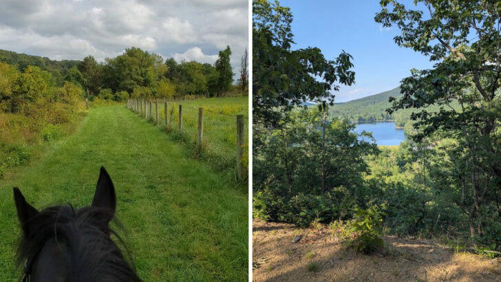10 Virginia Horseback Riding Destinations Surrounded By Incredible Scenery