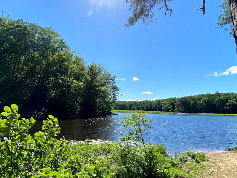 Pocahontas State Park