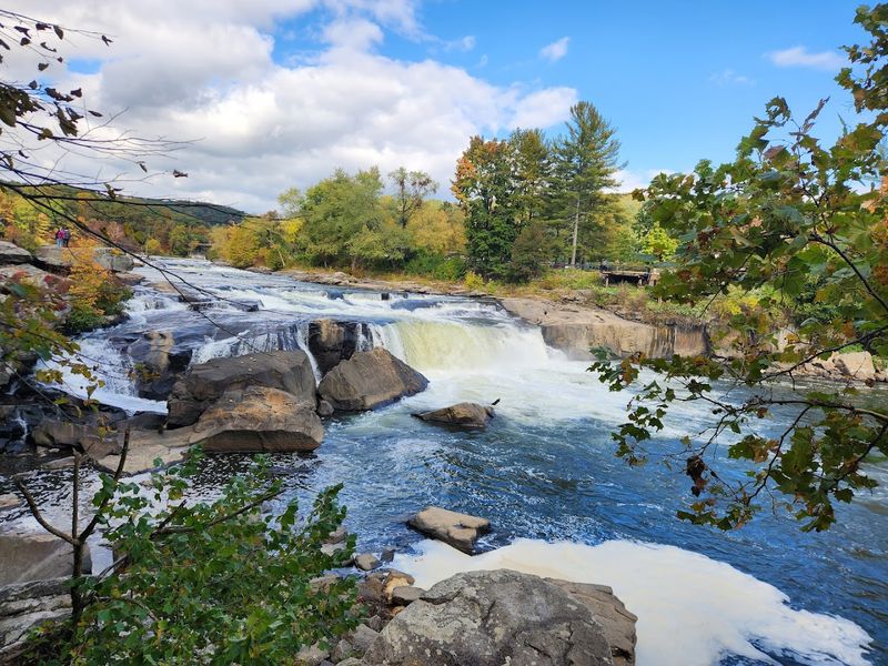 Ohiopyle State Park