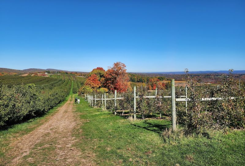 Lyman Orchards (Middlefield)