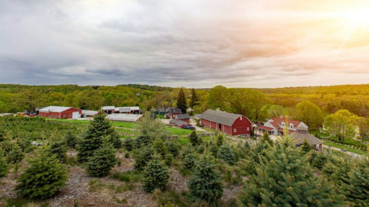 11 Connecticut Farms Filled With Charm, Fresh Produce, And Scenic Beauty