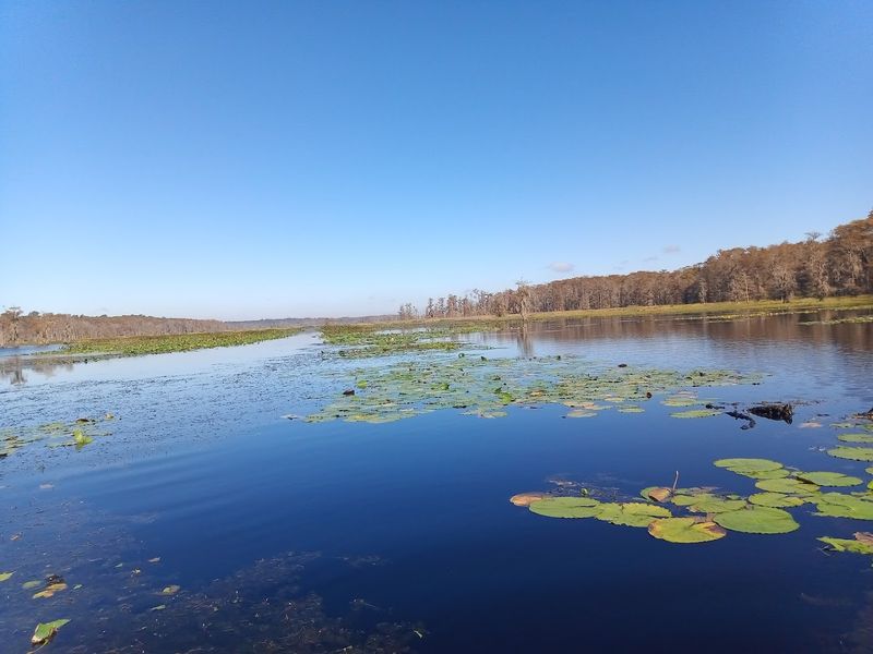 Lake Miccosukee