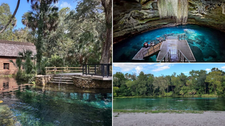 11 Florida Springs And Swimming Areas Perfect For A Refreshing July Day