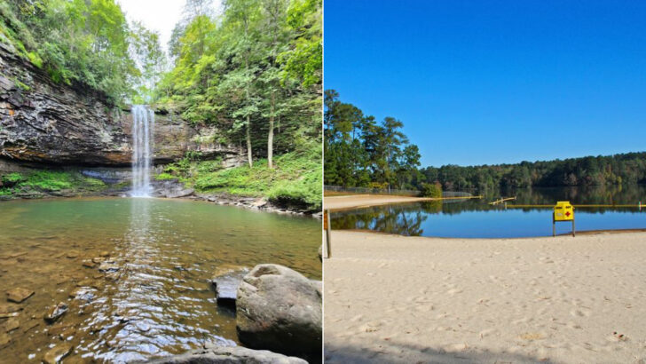 11 Georgia Swimming Holes And Lakes Perfect For A July Adventure