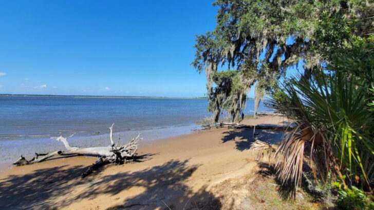 11 Hidden Georgia Beaches With Some Of The Most Beautiful Coastal Views In The State