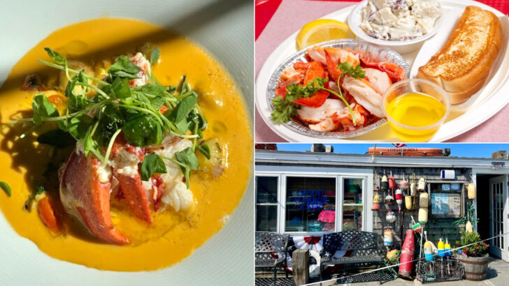 11 Legendary Lobster Roll Spots Across Massachusetts Worth Every Bite