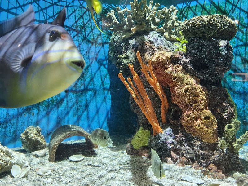 Woods Hole Science Aquarium