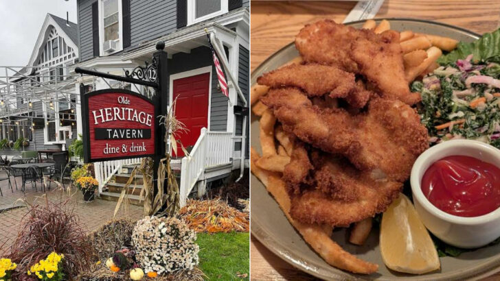 11 Massachusetts Restaurants Serving Authentic Schnitzel And Old-World Favorites