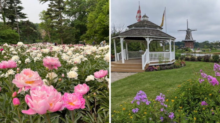 11 Michigan Botanical Gardens Perfect For Summer Blooms And Peaceful Walks