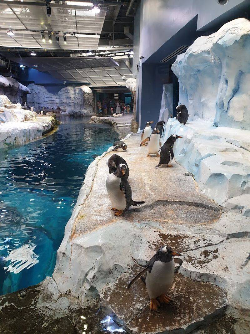 Detroit Zoo (Royal Oak)