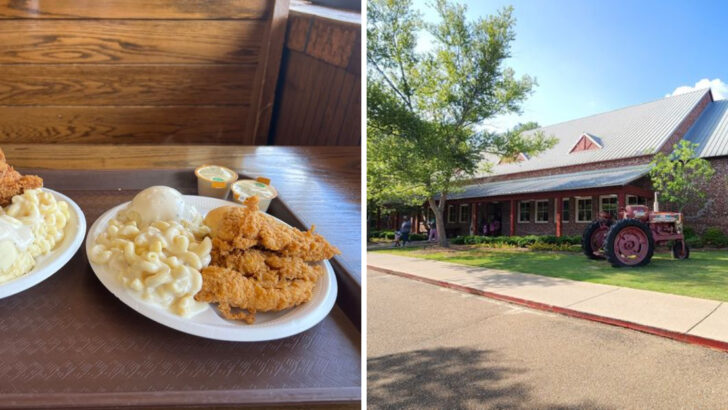 11 Mississippi Fried Chicken Spots That Keep Crowds Coming Back