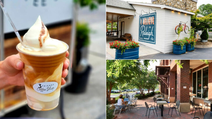 11 North Carolina Cafes That Dog Owners Keep Coming Back To