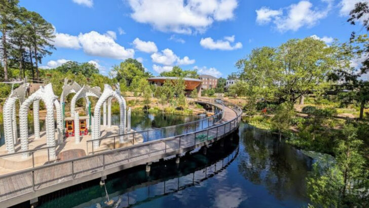 11 North Carolina Playgrounds That Turn Parks Into Adventure Destinations