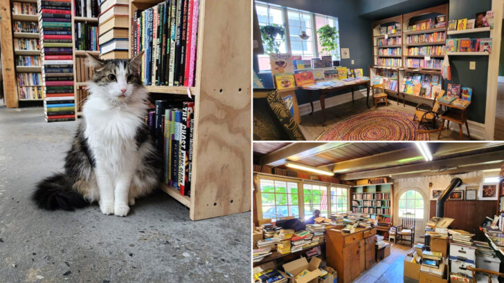 11 Pennsylvania Hidden Bookstores That Turn Browsing Into a Full Experience