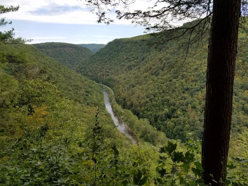 Pine Creek Gorge (Pennsylvania Grand Canyon)