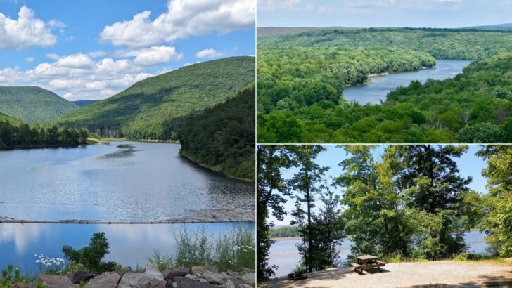 11 Pennsylvania State Parks Perfect For A June Day Trip Or Weekend Escape