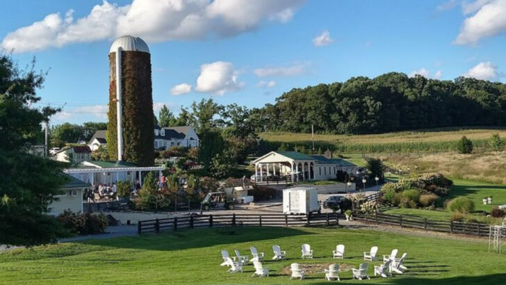 11 Virginia Farm Experiences That Showcase Rural Charm At Its Best