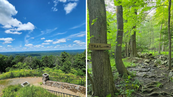 12 Beginner-Friendly Hiking Trails In Connecticut Worth Exploring This Year