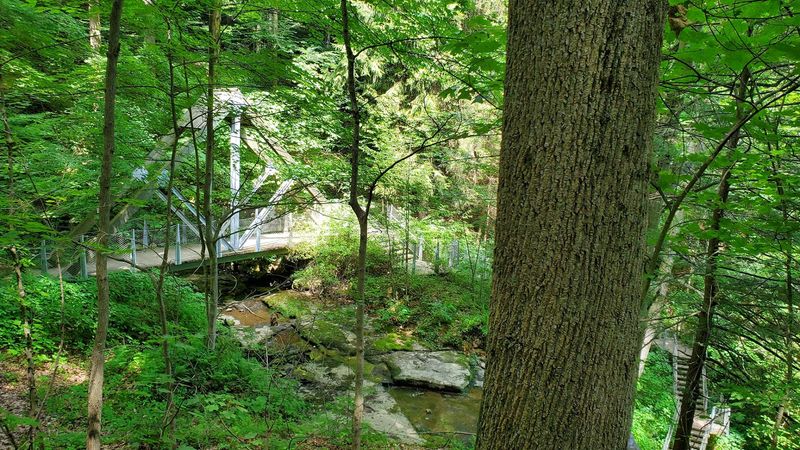 Buttermilk Falls Natural Area Trails 