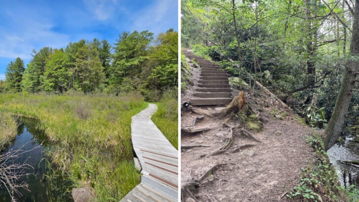 12 Beginner-Friendly Hiking Trails In Pennsylvania With Great Views And Gentle Terrain
