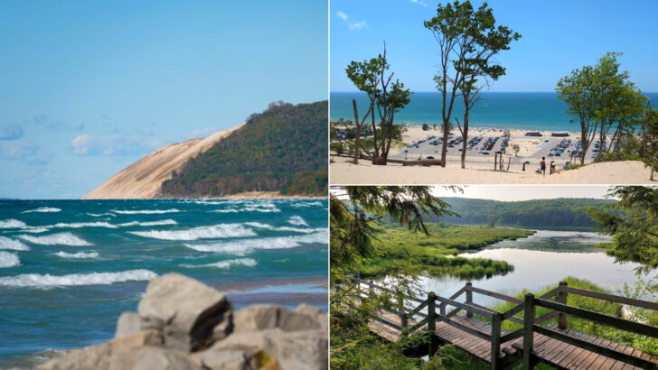 12 Best Places To Swim In Michigan This July For Crystal-Clear Water And Views